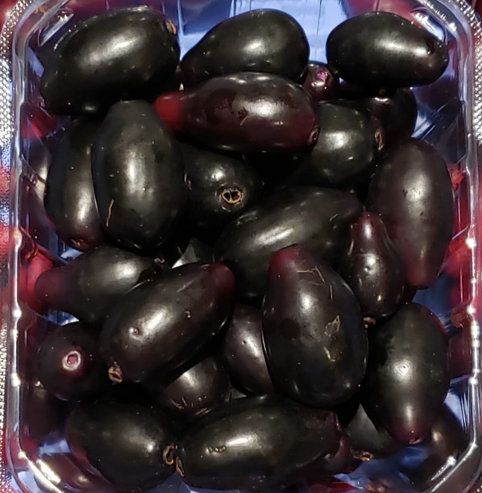 Java plum, Syzygium cumini, jambolan, jamun - variety: java plum, pint